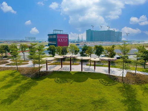 突出特色錯(cuò)位發(fā)展 江海區(qū)構(gòu)建 外海制造 禮樂 農(nóng)業(yè) 工業(yè) 雙擎驅(qū)動 江南 總部 商貿(mào) 發(fā)展格局