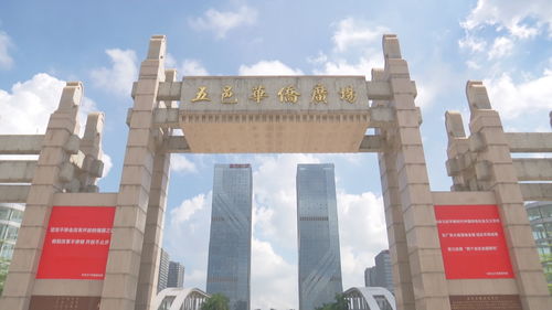 江門 建設(shè) 四大國家平臺 推動 中國僑都 賦能升級