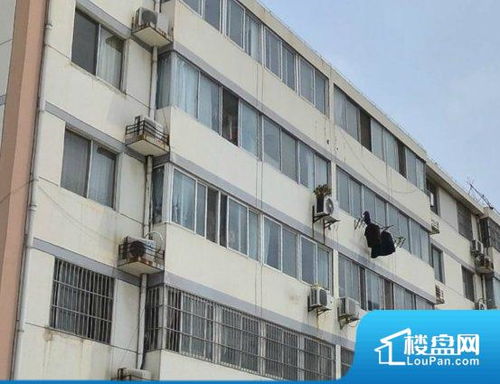 宿遷學(xué)府雅苑小區(qū)相冊(cè) 戶型圖 宿遷樓盤(pán)網(wǎng)