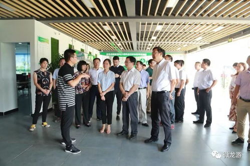 千里走親促商貿(mào) 山海共繪新藍(lán)圖——龍游黨政代表團(tuán)江門考察記