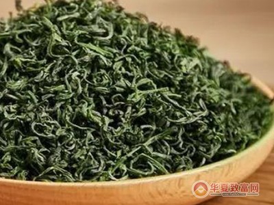 珍香茶葉 技術推廣驅動，品質與效益的雙贏之路