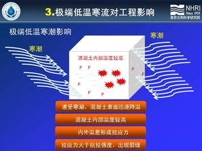 科技賦能未來 第六屆新技術推廣會掀起創(chuàng)新熱潮