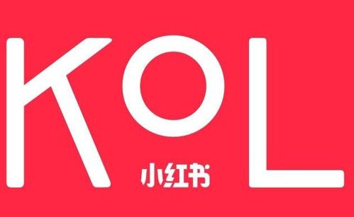 蕓眾科技 借力小紅書KOL達人，打造產(chǎn)品推廣種草與測評新范式