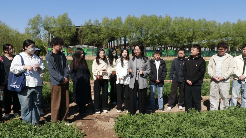 科技小院扎根寧夏大地，鄉(xiāng)村振興注入青春力量