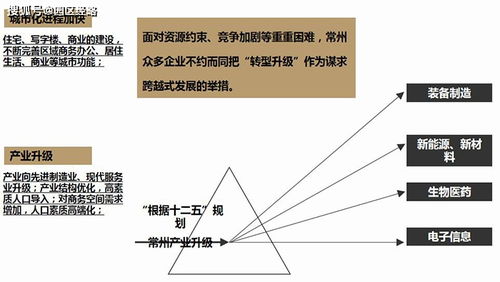 常州恒生科技園項(xiàng)目市場(chǎng)營銷策劃報(bào)告